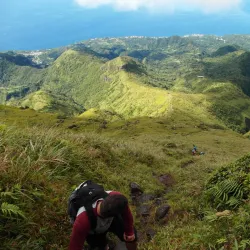 Le Parc Naturel Régional de la Martinique - Le Lamentin
