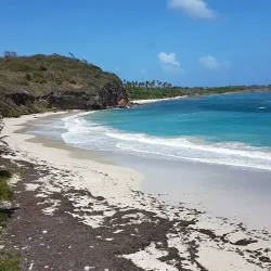 Le Parc Naturel Régional de la Martinique - Le Lamentin
