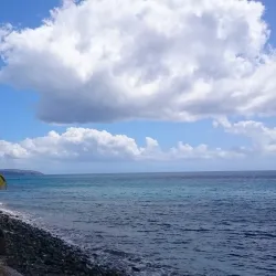 Le Parc Naturel Régional de la Martinique - Le Lamentin