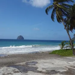 Le Parc Naturel Régional de la Martinique - Le Lamentin