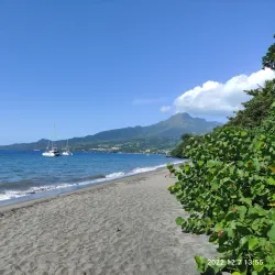 Anse Turin Beach - Schoelcher