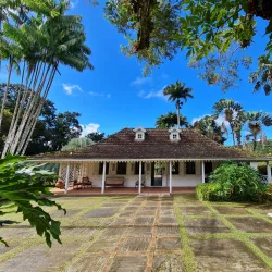 Martinique Botanical Garden (Jardin de Balata) - Schoelcher
