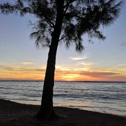 Flic en Flac Beach - Bambous