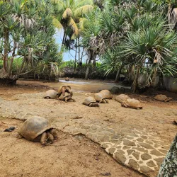 La Vanille Nature Park - Bambous