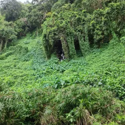 Rose Hill Clock Tower - Beau Bassin-Rose Hill
