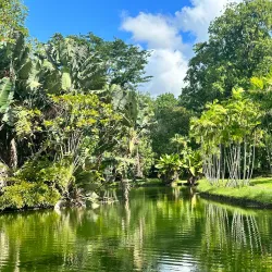 Sir Seewoosagur Ramgoolam Botanical Garden - Beau Bassin-Rose Hill