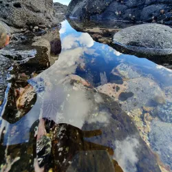 Benares Village Market - Benares