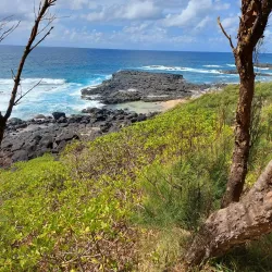 Benares Village Market - Benares