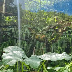 La Vanille Nature Park - Benares