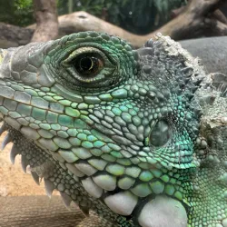 La Vanille Nature Park - Benares