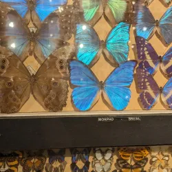 La Vanille Nature Park - Benares