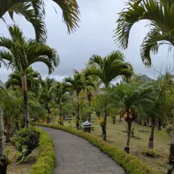 Rhumerie de Chamarel - Benares