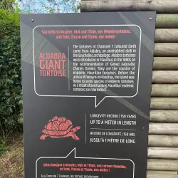 Seven Colored Earths of Chamarel - Benares