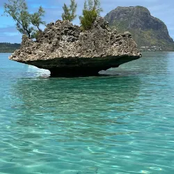 Tamarin Bay - Benares