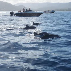 Tamarin Bay - Benares