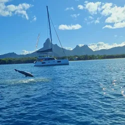 Tamarin Bay - Benares