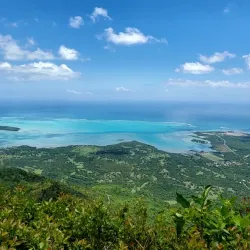 Black River Gorges National Park - Brisee Verdiere