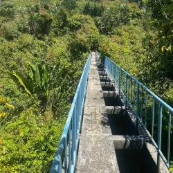 Brisee Verdiere Nature Trails - Brisee Verdiere