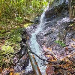 Brisee Verdiere Nature Trails - Brisee Verdiere