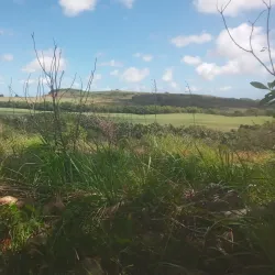 Brisee Verdiere Nature Trails - Brisee Verdiere