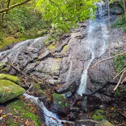 Brisee Verdiere Nature Trails - Brisee Verdiere