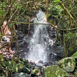 Brisee Verdiere Nature Trails - Brisee Verdiere