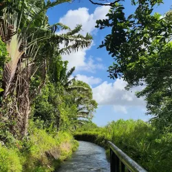 Brisee Verdiere Nature Trails - Brisee Verdiere