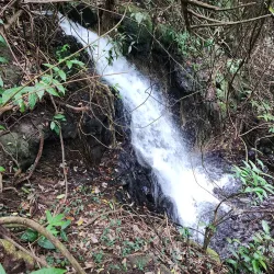 Brisee Verdiere Nature Trails - Brisee Verdiere