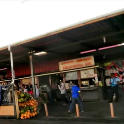 Local Village Market - Brisee Verdiere