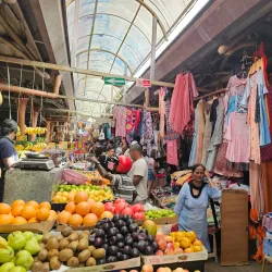 Local Village Market - Brisee Verdiere