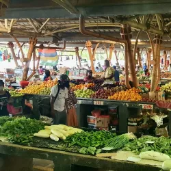 Local Village Market - Brisee Verdiere