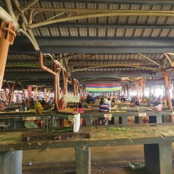 Local Village Market - Brisee Verdiere