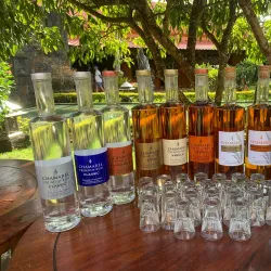 Mauritius Rum Distillery Tour - Brisee Verdiere