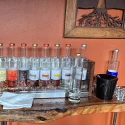 Mauritius Rum Distillery Tour - Brisee Verdiere