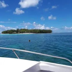Blue Bay Marine Park - Cassis