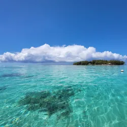 Blue Bay Marine Park - Cassis