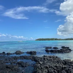 Blue Bay Marine Park - Cassis
