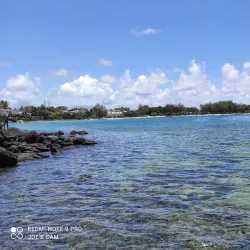 Blue Bay Marine Park - Cassis