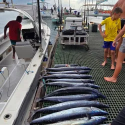 Boat Tours and Fishing Trips - Cassis