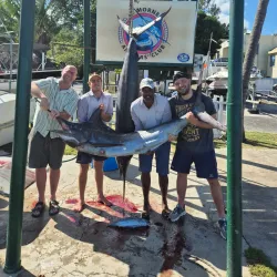 Boat Tours and Fishing Trips - Cassis