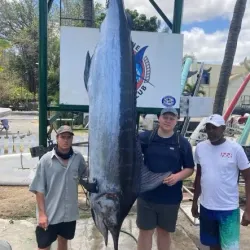 Boat Tours and Fishing Trips - Cassis