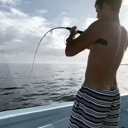 Boat Tours and Fishing Trips - Cassis