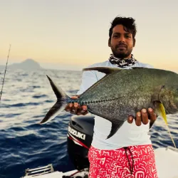 Boat Tours and Fishing Trips - Cassis