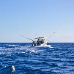 Fishing Village Experience - Cassis