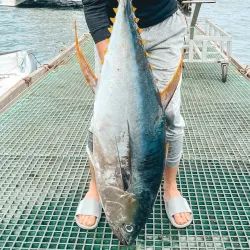 Fishing Village Experience - Cassis