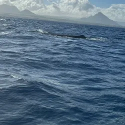 Fishing Village Experience - Cassis