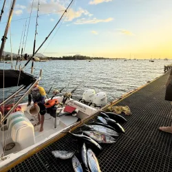 Fishing Village Experience - Cassis
