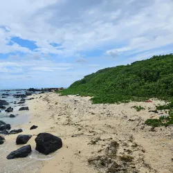 La Cambuse Beach - Cassis