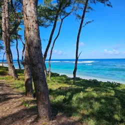 La Cambuse Beach - Cassis