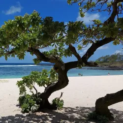 La Cambuse Beach - Cassis